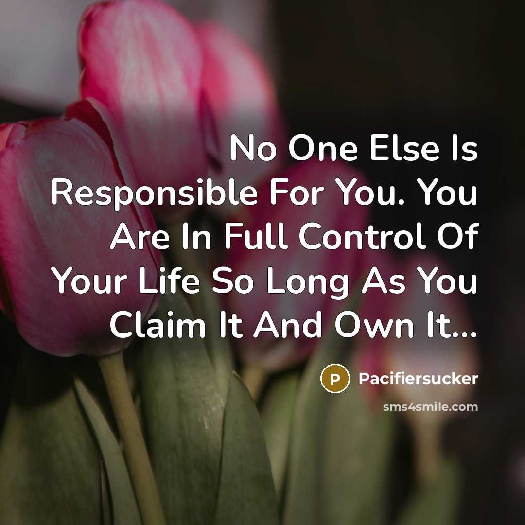 “No One Else Is Responsible For You. You Are In…” quote by Pacifiersucker