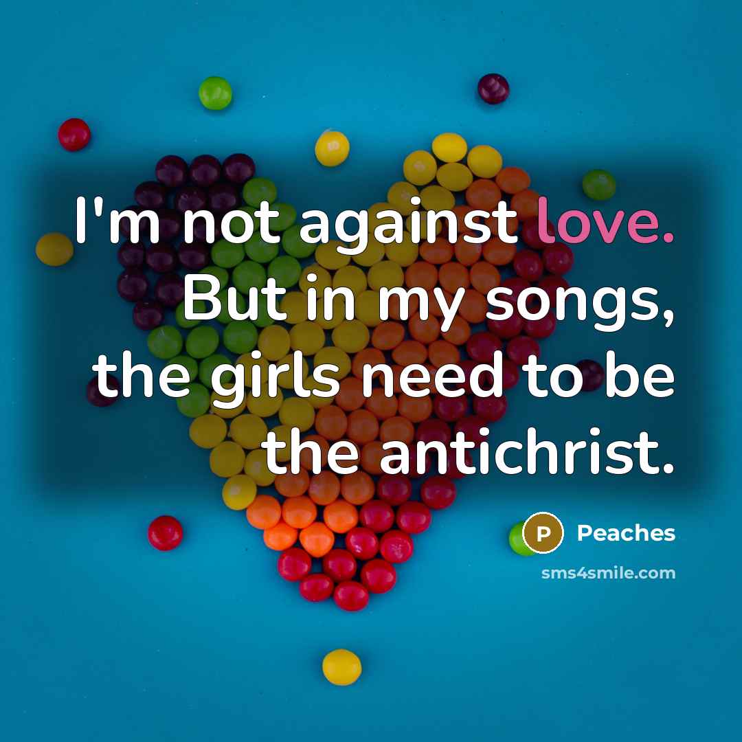 “I'm not against love. But in my songs, the girls…” quote by Peaches