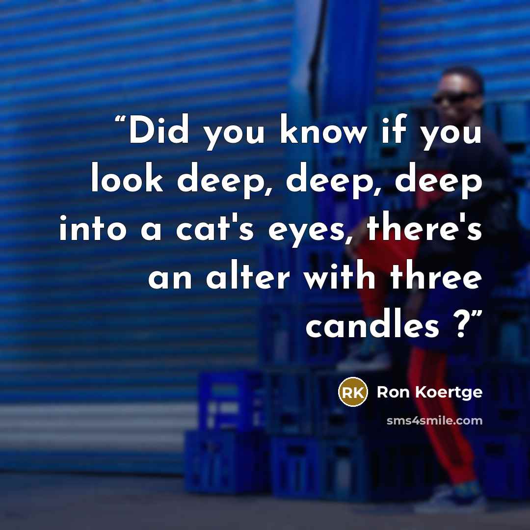 “Did you know if you look deep, deep, deep into a cat's eyes, there's an alter with three candles ?” quote by Ron Koertge