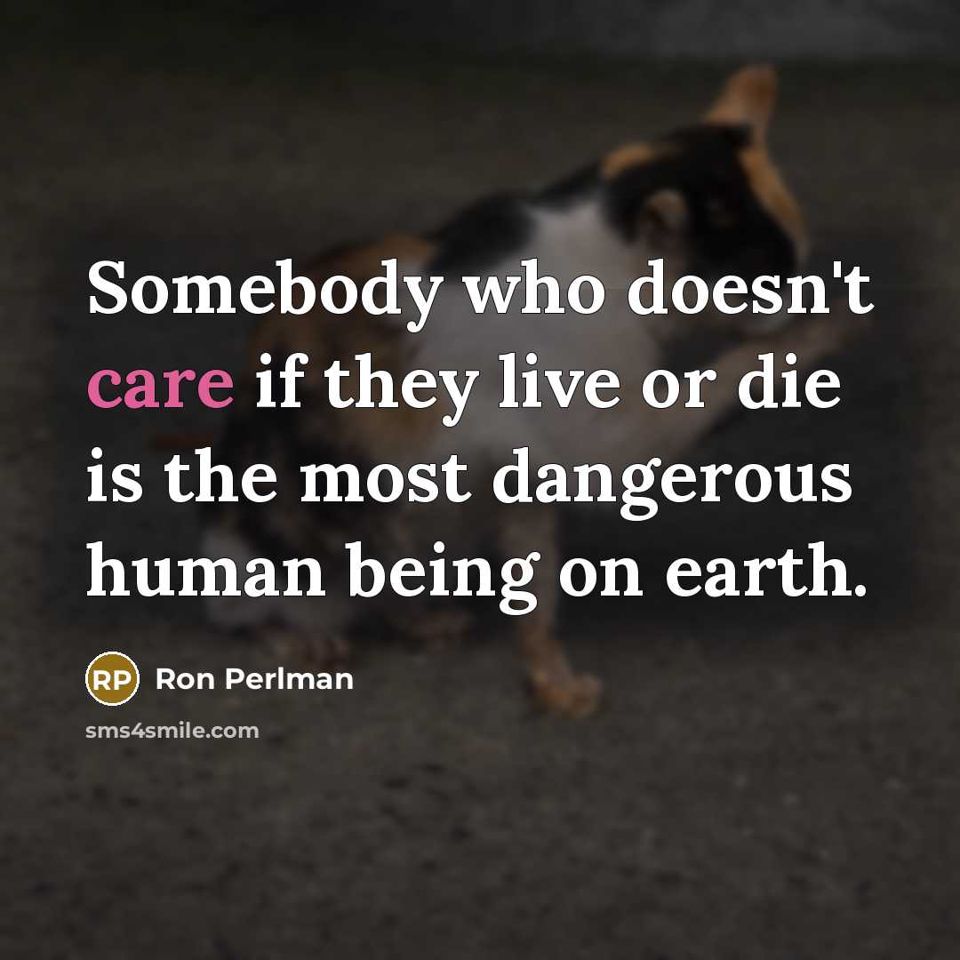 “Somebody who doesn't care if they live or die is…” quote by Ron Perlman