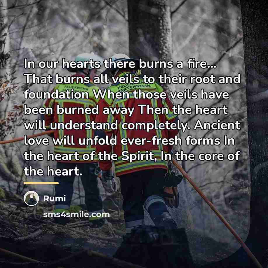 “In our hearts there burns a fire... That burns all…” quote by Rumi