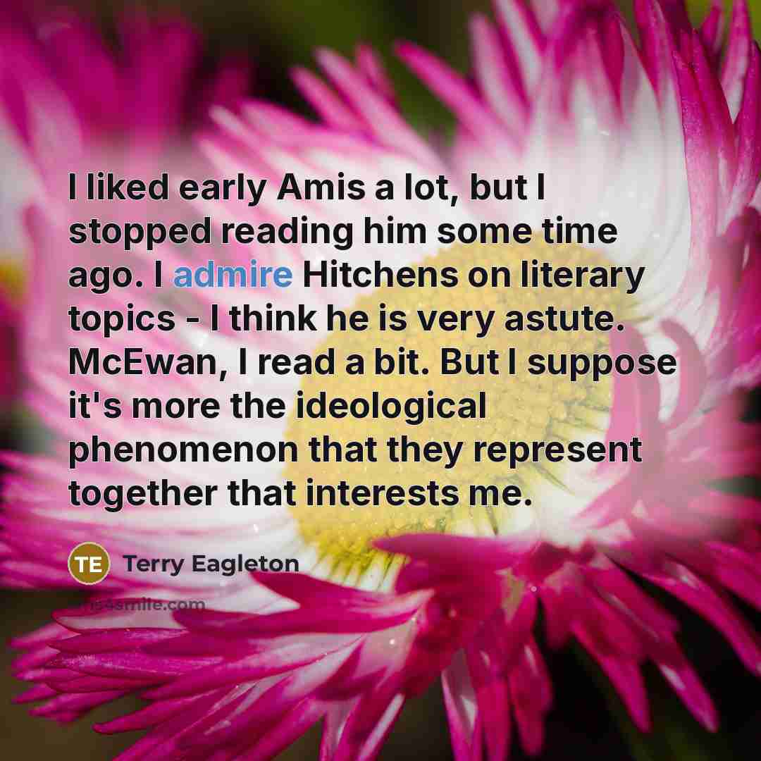“I liked early Amis a lot, but I stopped reading…” quote by Terry Eagleton