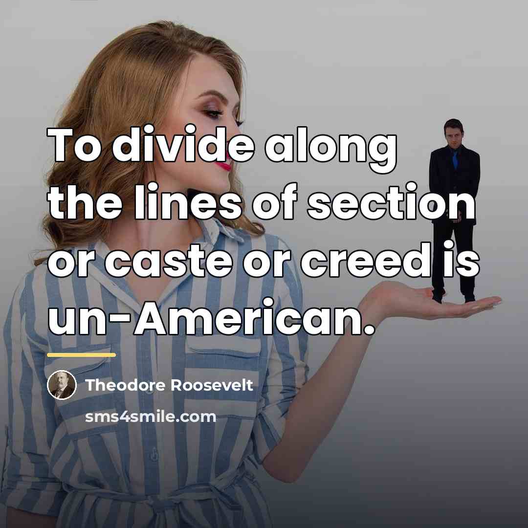 “To divide along the lines of section or caste or…” quote by Theodore Roosevelt