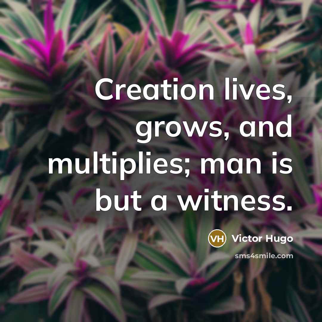 “Creation lives, grows, and multiplies; man is but a witness.…” quote by Victor Hugo