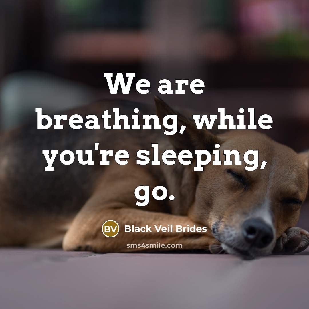 “We are breathing, while you're sleeping, go.…” quote by Black Veil Brides