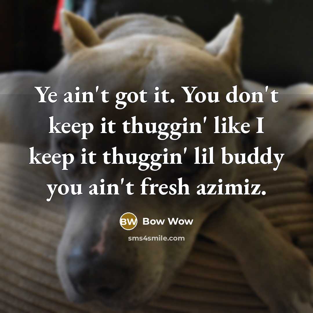 “Ye ain't got it. You don't keep it thuggin' like I keep it thuggin' lil buddy you ain't fresh azimiz.” quote by Bow Wow