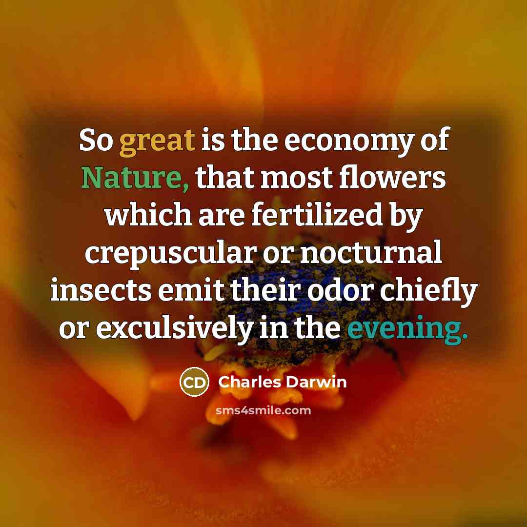 “So great is the economy of Nature, that most flowers…” quote by Charles Darwin