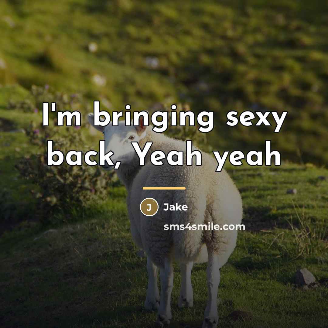 “I'm bringing sexy back, Yeah yeah…” quote by Jake
