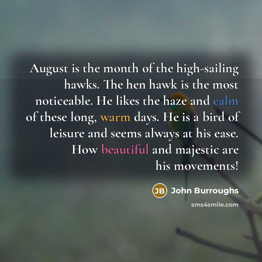“August is the month of the high-sailing hawks. The hen…” quote by John Burroughs