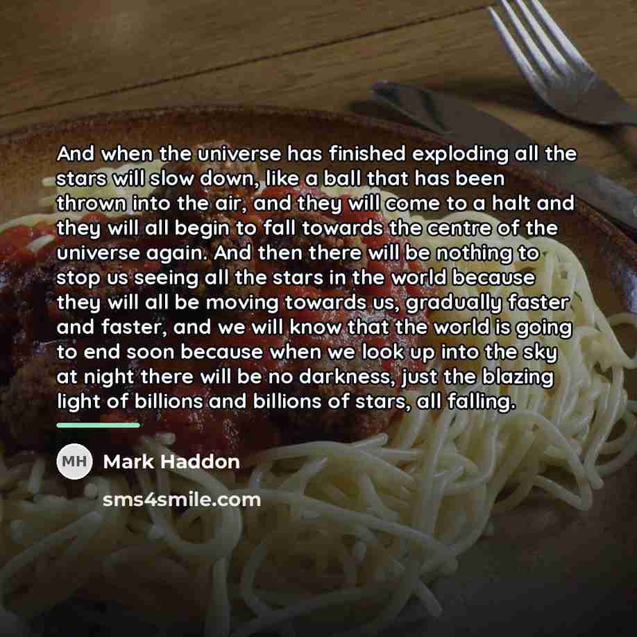 “And when the universe has finished exploding all the stars…” quote by Mark Haddon