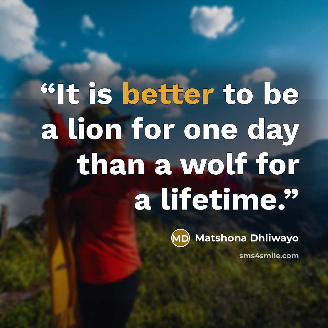 “It is better to be a lion for one day than a wolf for a lifetime.” quote by Matshona Dhliwayo