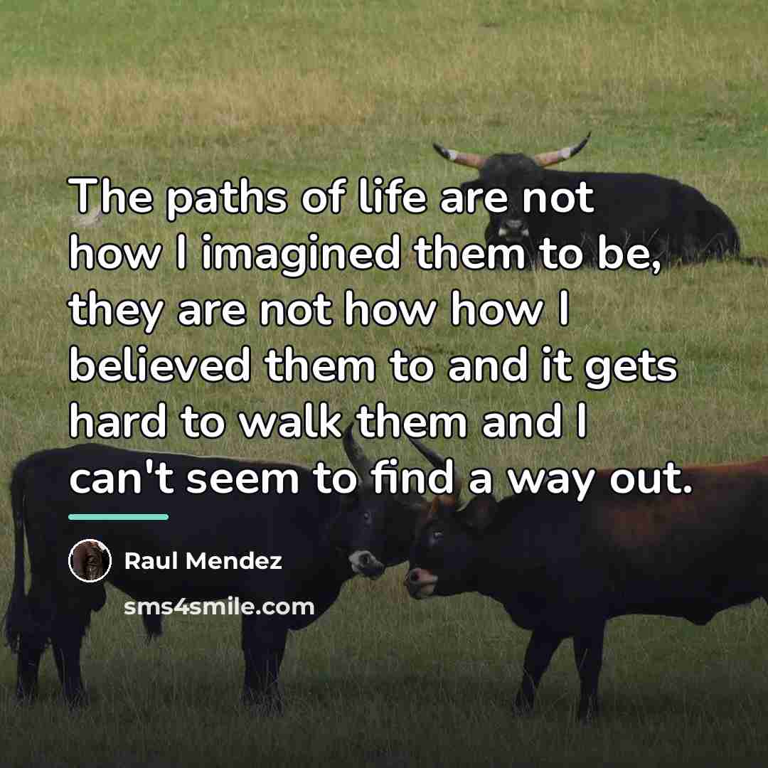 “The paths of life are not how I imagined them…” quote by Raul Mendez