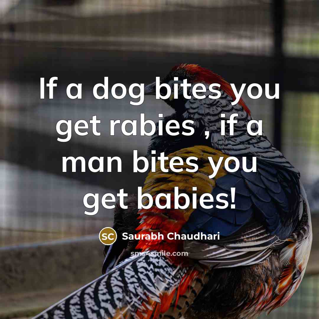 “If a dog bites you get rabies , if a man bites you get babies!” quote by Saurabh Chaudhari