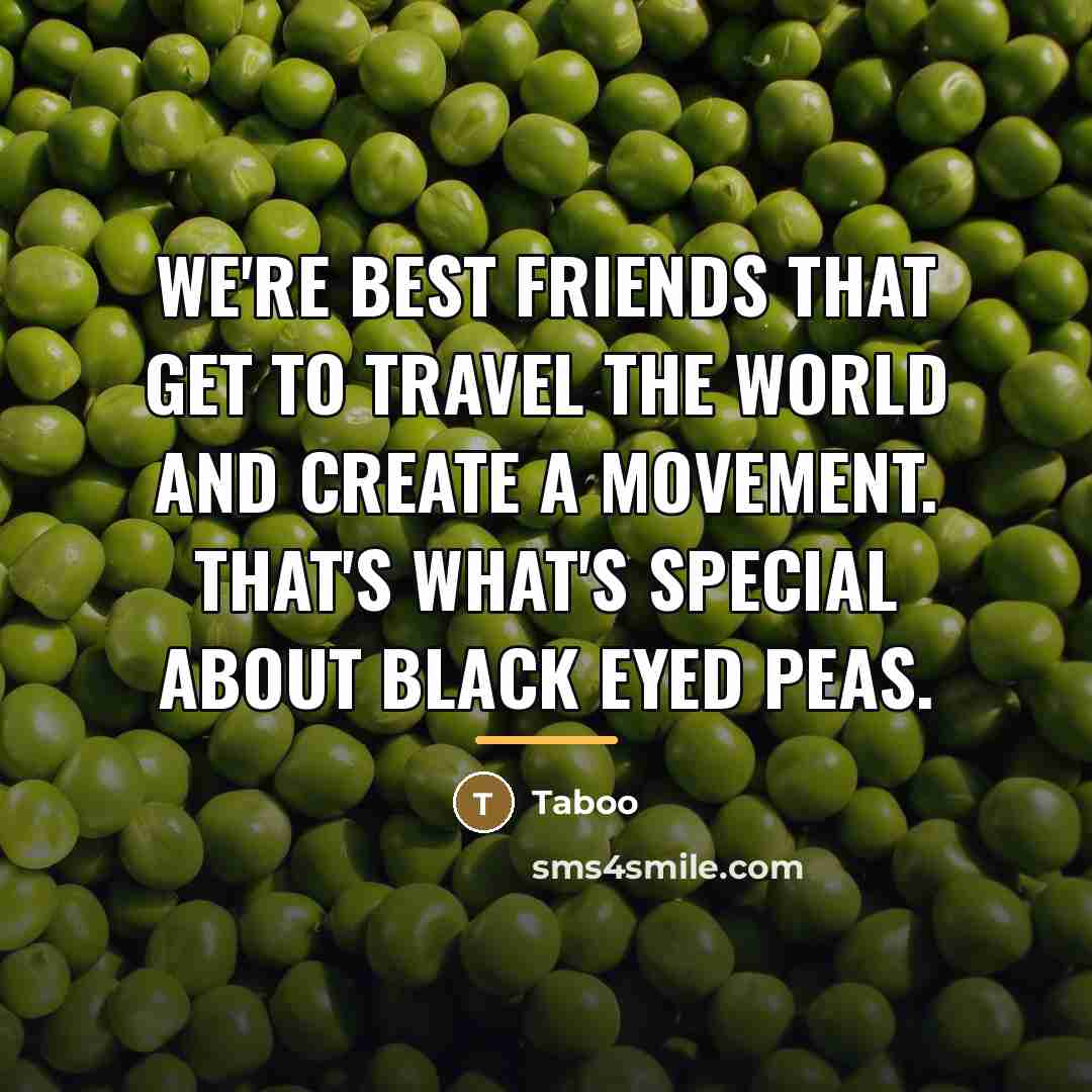 “We're best friends that get to travel the world and…” quote by Taboo