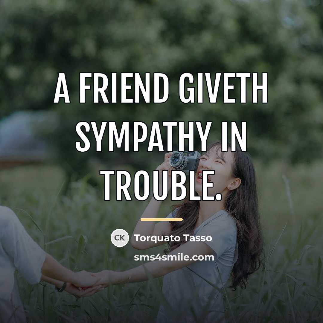 “A friend giveth sympathy in trouble.…” quote by Torquato Tasso