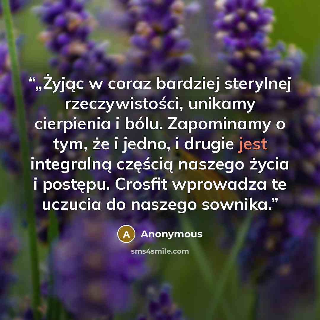 “„Żyjąc w coraz bardziej sterylnej rzeczywistości, unikamy cierpienia i bólu. Zapominamy o tym, że i jedno, i drugie jest integralną częścią naszego życia i postępu. Crosfit wprowadza te uczucia do naszego sownika.” quote by Anonymous