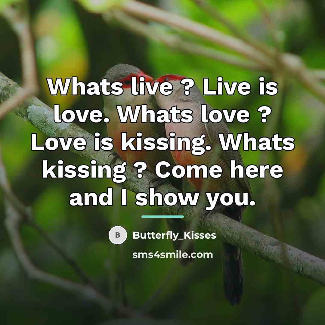 “Whats live ? Live is love. Whats love ? Love…” quote by Butterfly_Kisses