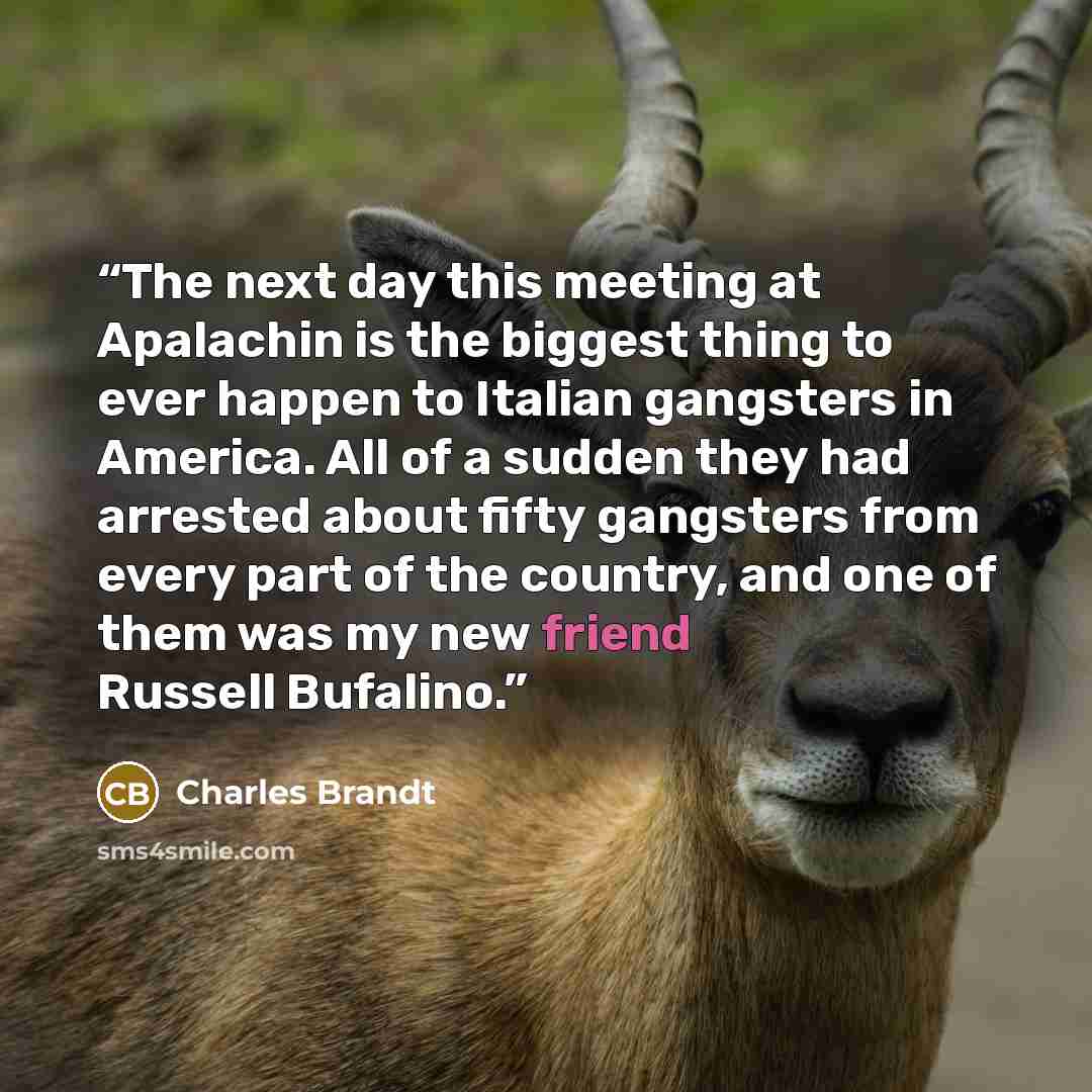 “The next day this meeting at Apalachin is the biggest thing to ever happen to Italian gangsters in America. All of a sudden they had arrested about fifty gangsters from every part of the country, and one of them was my new friend Russell Bufalino.” quote by Charles Brandt