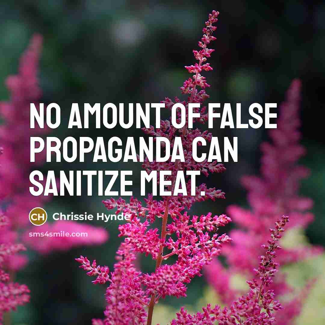 “No amount of false propaganda can sanitize meat.…” quote by Chrissie Hynde