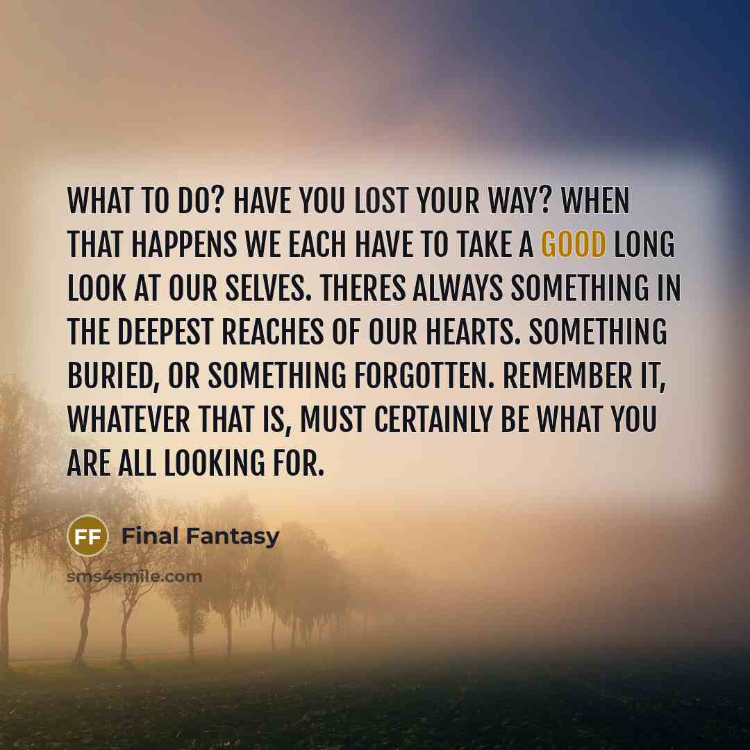 “What to do? Have you lost your way? When that…” quote by Final Fantasy