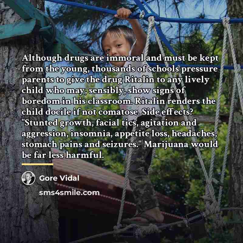 “Although drugs are immoral and must be kept from the…” quote by Gore Vidal