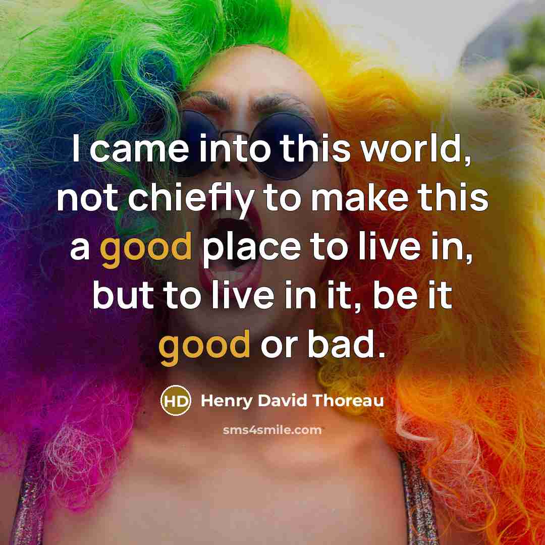 “I came into this world, not chiefly to make this…” quote by Henry David Thoreau