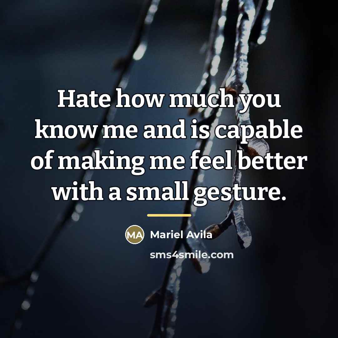 “Hate how much you know me and is capable of…” quote by Mariel Avila