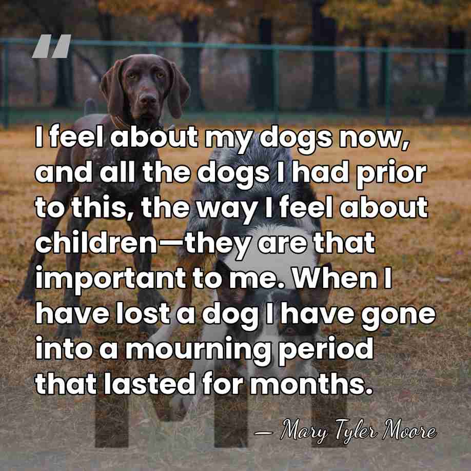 I feel about my dogs now, and all the dogs I had&hellip; - Mary Tyler Moore