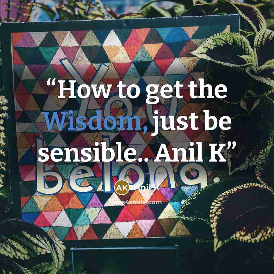 “How to get the Wisdom, just be sensible.. Anil K” quote by Anil K
