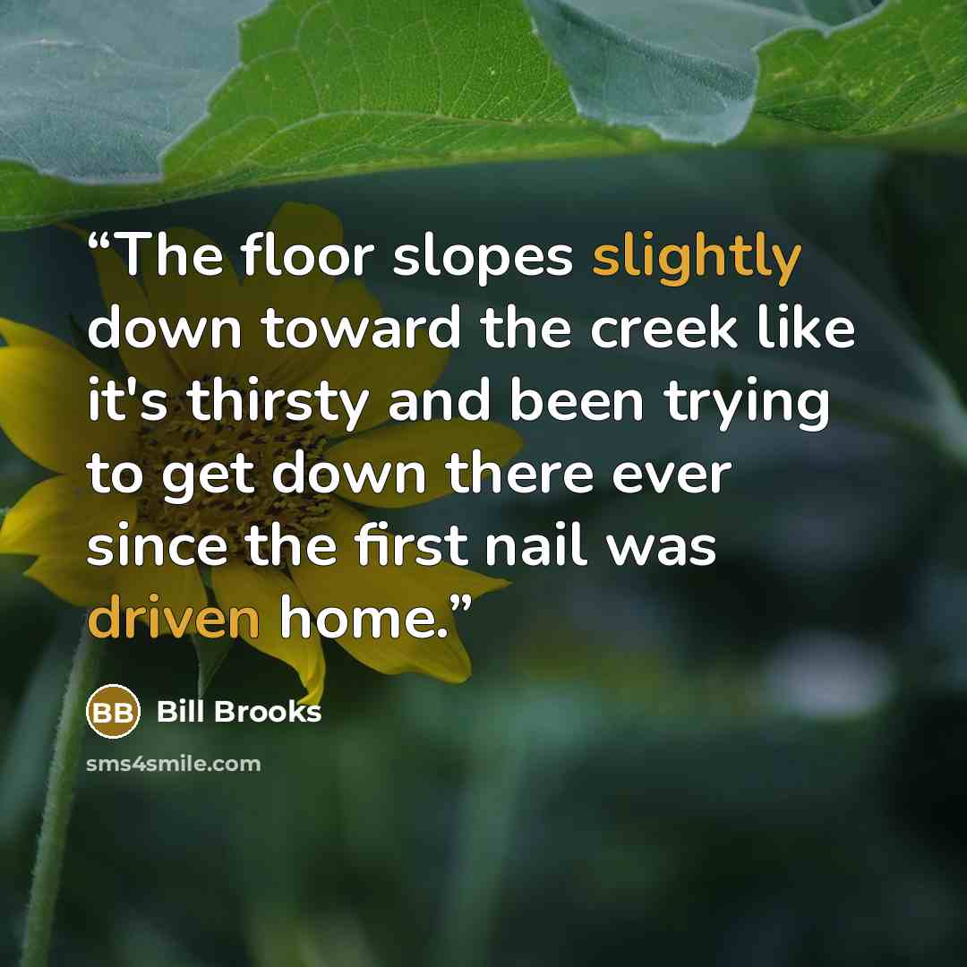 “The floor slopes slightly down toward the creek like it's thirsty and been trying to get down there ever since the first nail was driven home.” quote by Bill Brooks