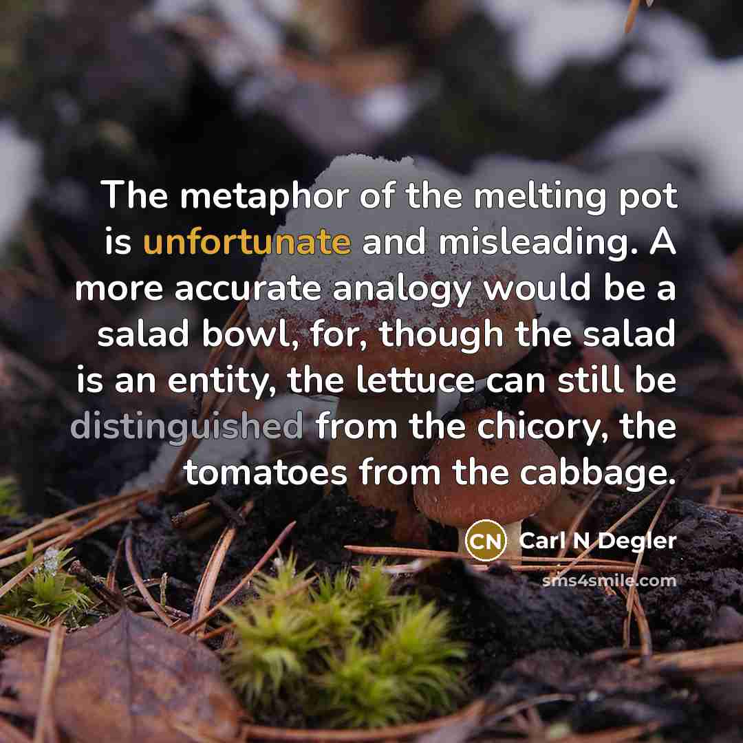 “The metaphor of the melting pot is unfortunate and misleading. A more accurate analogy would be a salad bowl, for, though the salad is an entity, the lettuce can still be distinguished from the chicory, the tomatoes from the cabbage.” quote by Carl N Degler