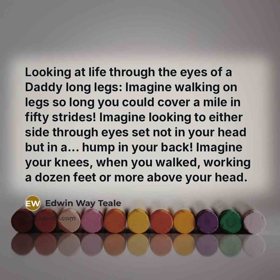 “Looking at life through the eyes of a Daddy long…” quote by Edwin Way Teale