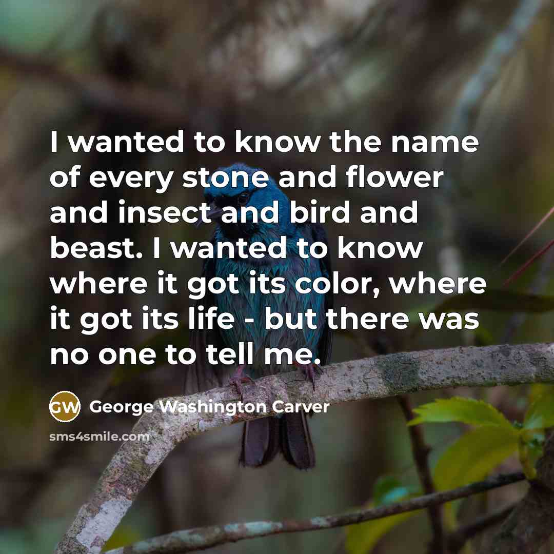 “I wanted to know the name of every stone and…” quote by George Washington Carver
