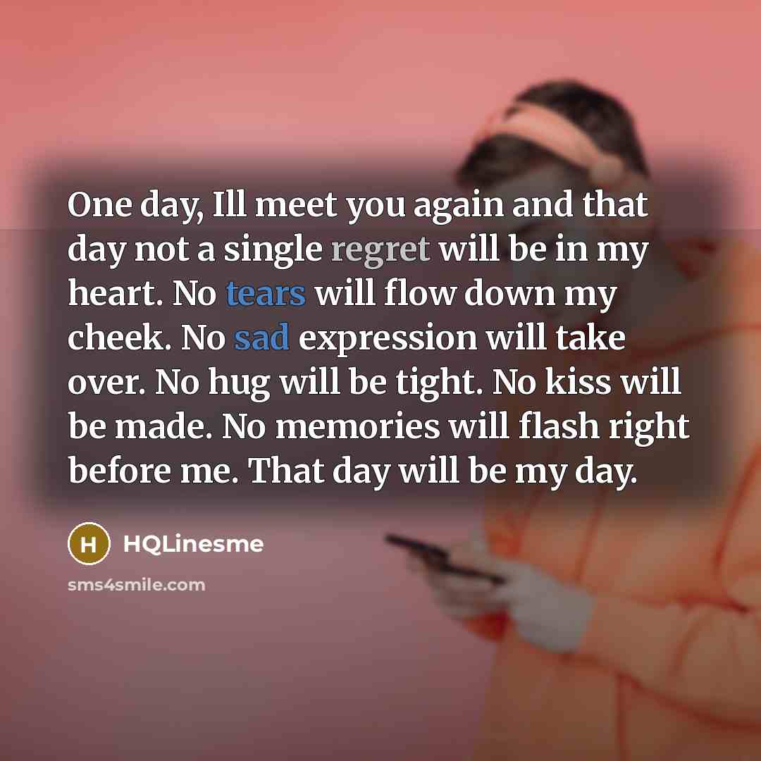 “One day, Ill meet you again and that day not…” quote by HQLinesme
