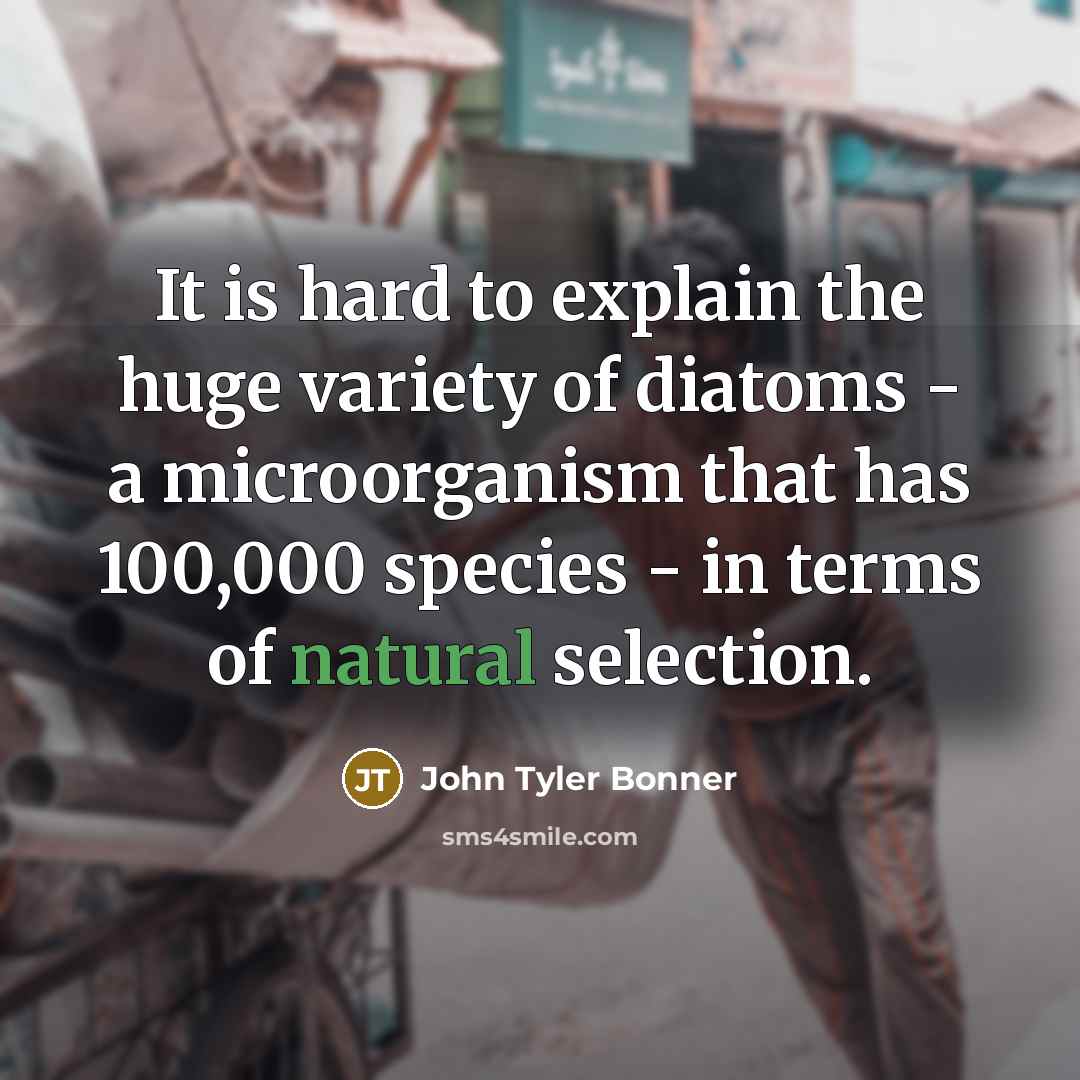 “It is hard to explain the huge variety of diatoms…” quote by John Tyler Bonner