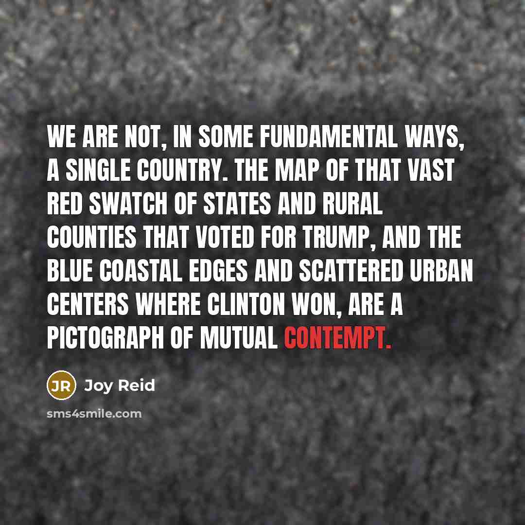 “We are not, in some fundamental ways, a single country.…” quote by Joy Reid