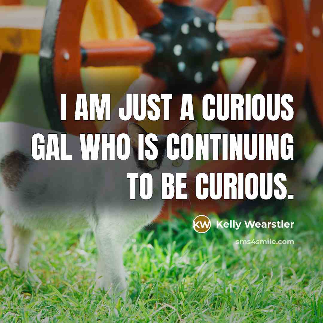 “I am just a curious gal who is continuing to…” quote by Kelly Wearstler