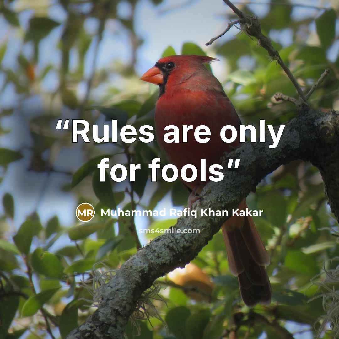“Rules are only for fools” quote by Muhammad Rafiq Khan Kakar