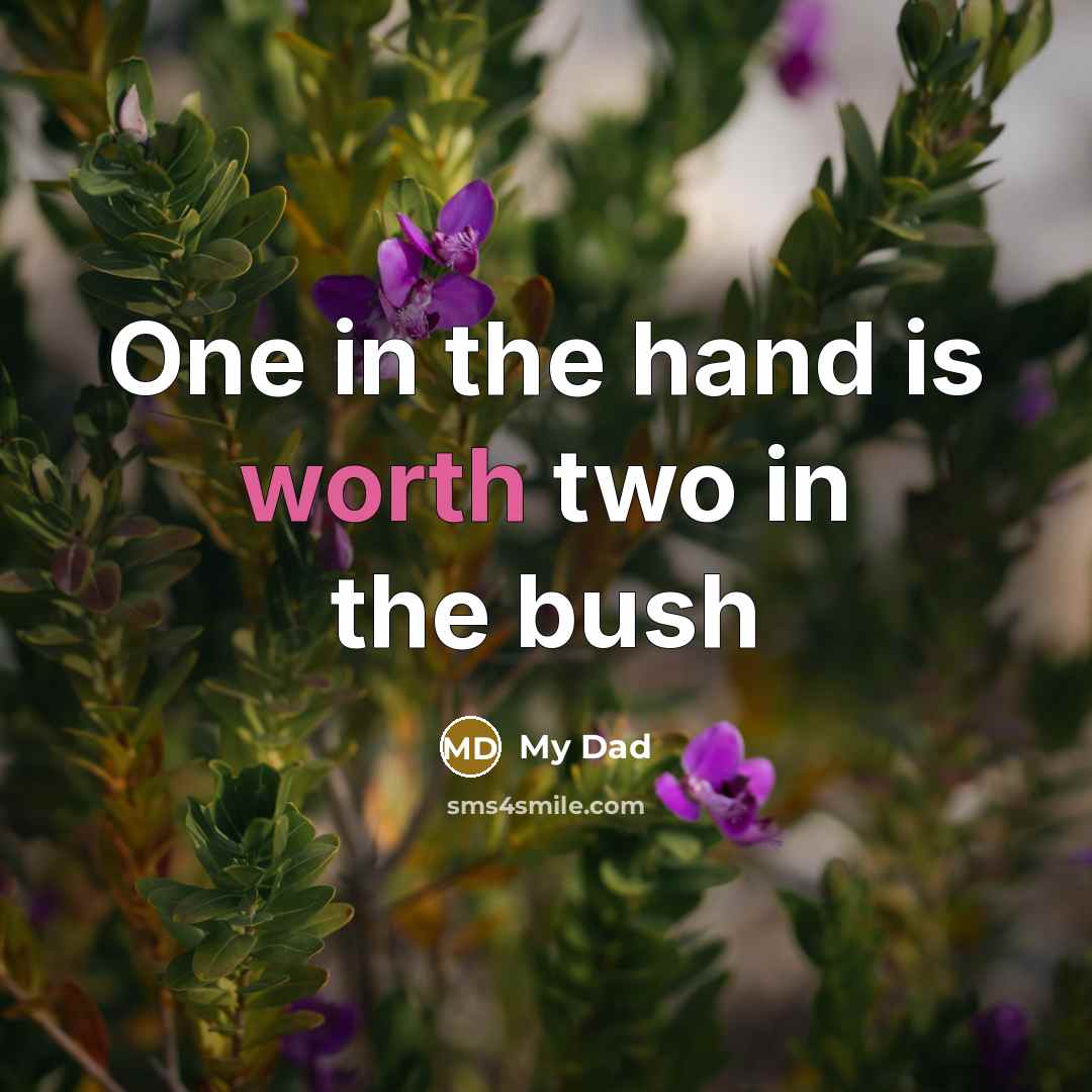 “One in the hand is worth two in the bush…” quote by My Dad