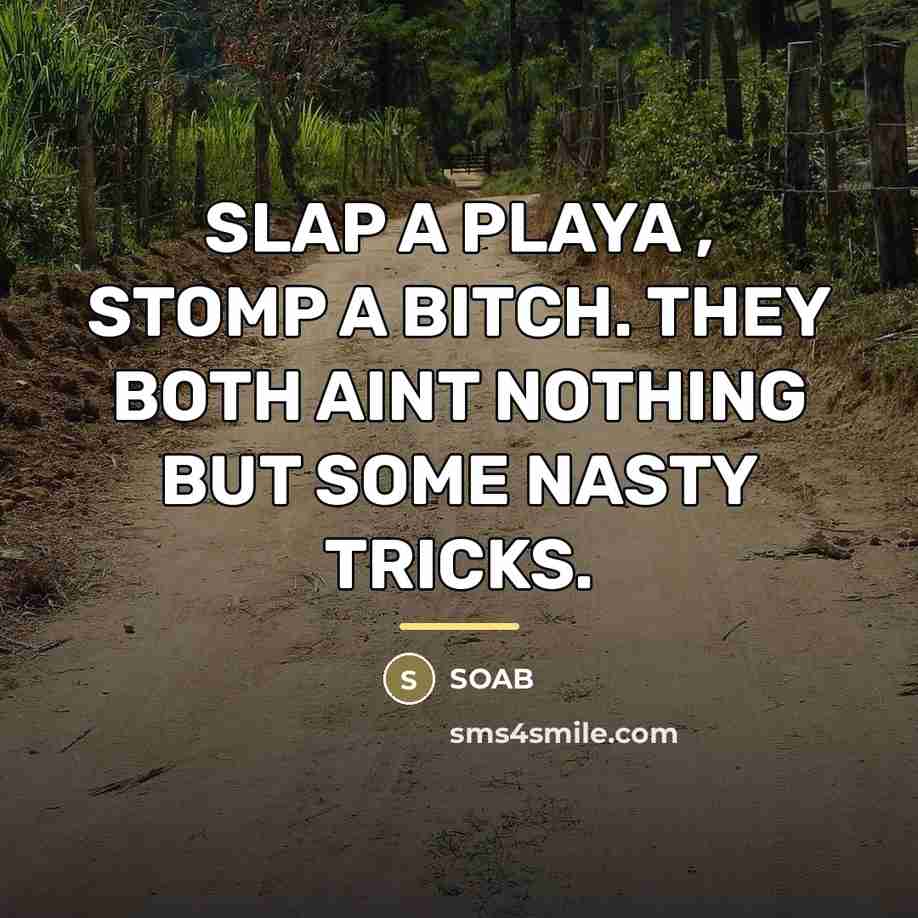 “SLAP A PLAYA , STOMP A BITCH. THEY BOTH AINT…” quote by SOAB