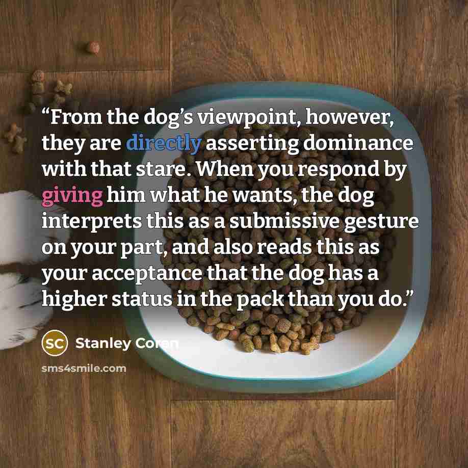 “From the dog’s viewpoint, however, they are directly asserting dominance with that stare. When you respond by giving him what he wants, the dog interprets this as a submissive gesture on your part, and also reads this as your acceptance that the dog has a higher status in the pack than you do.” quote by Stanley Coren