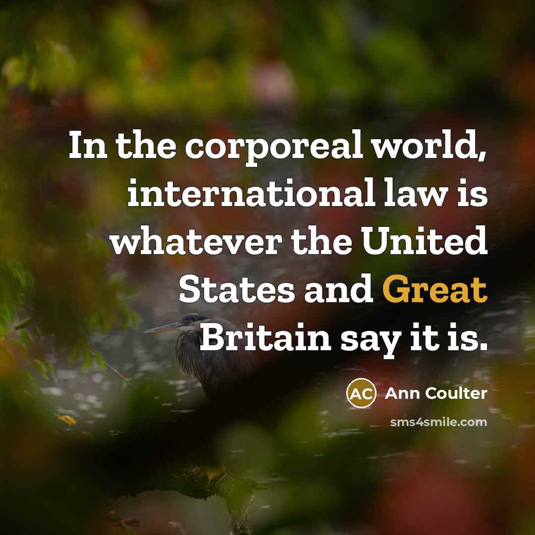 “In the corporeal world, international law is whatever the United…” quote by Ann Coulter