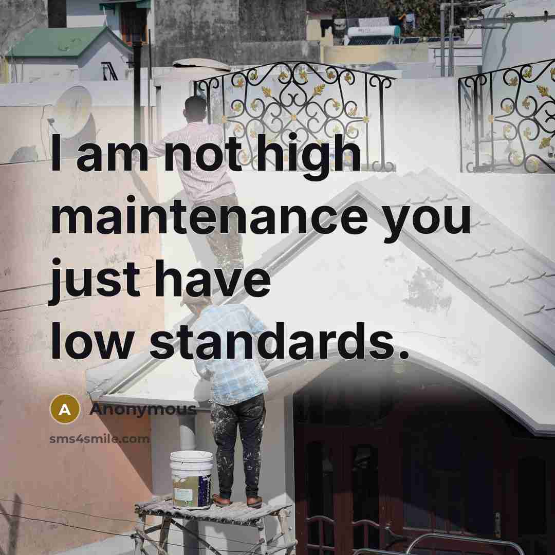 “I am not high maintenance you just have low standards.…” quote by Anonymous