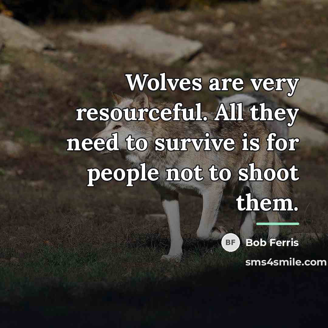 “Wolves are very resourceful. All they need to survive is…” quote by Bob Ferris
