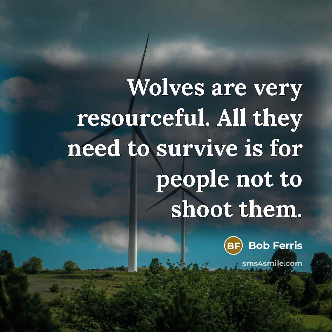 “Wolves are very resourceful. All they need to survive is for people not to shoot them.” quote by Bob Ferris