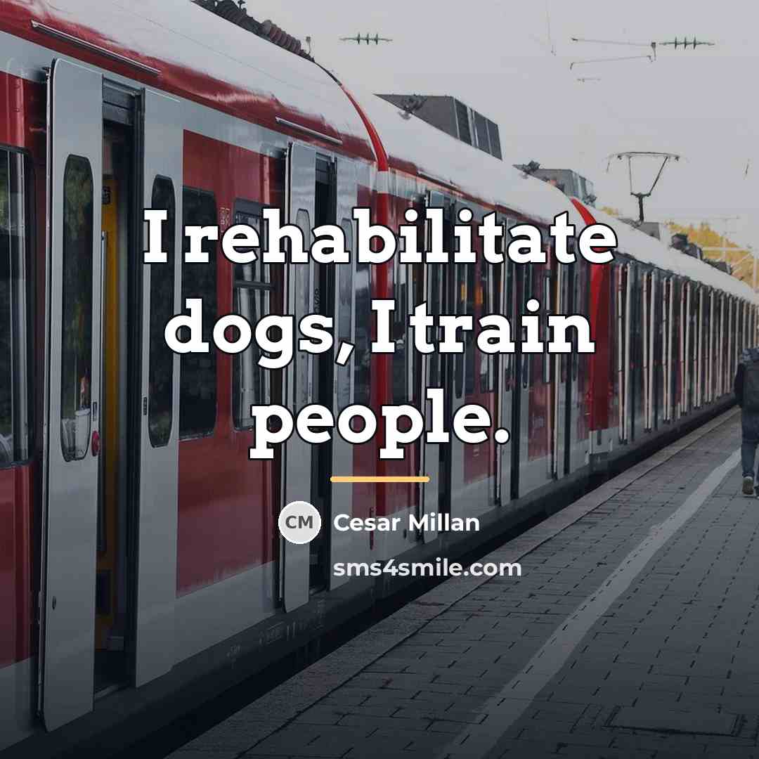 “I rehabilitate dogs, I train people.…” quote by Cesar Millan