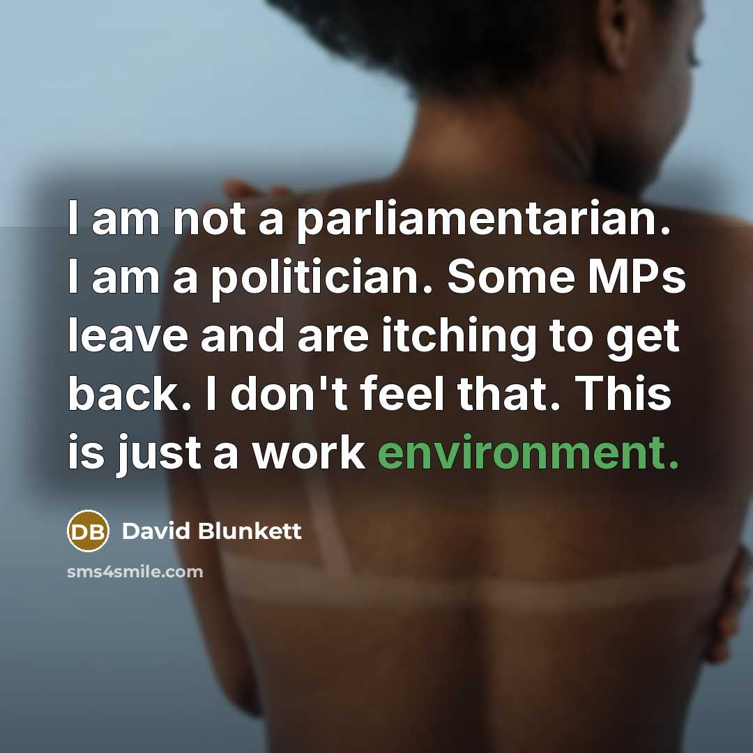 “I am not a parliamentarian. I am a politician. Some…” quote by David Blunkett