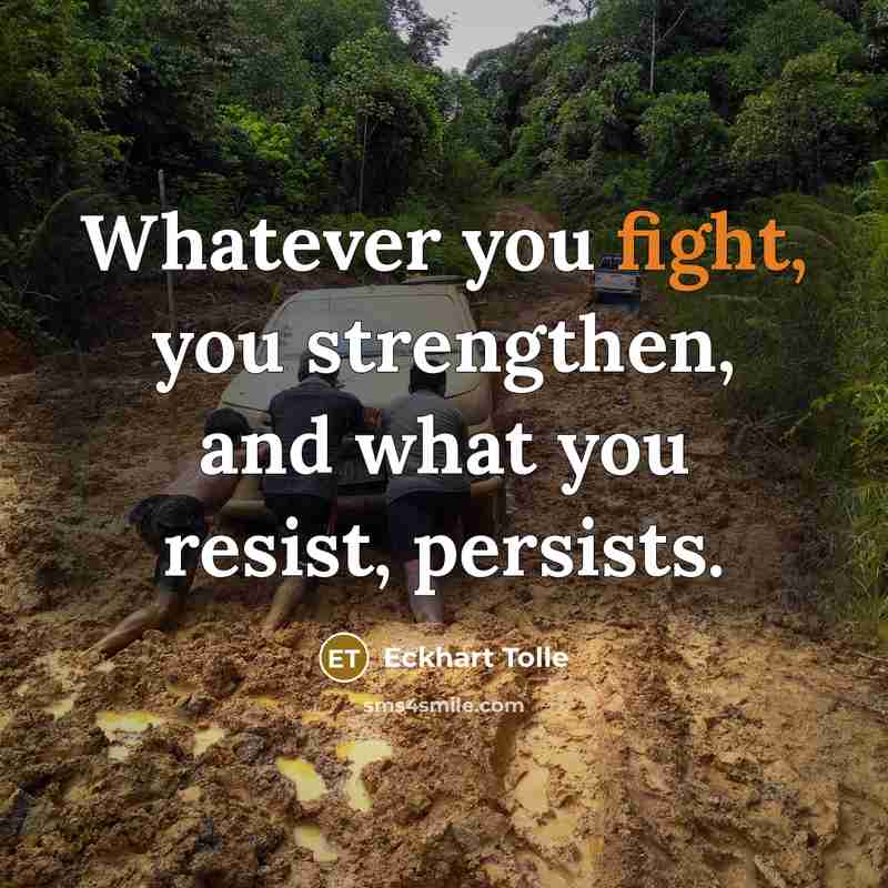 “Whatever you fight, you strengthen, and what you resist, persists.…” quote by Eckhart Tolle