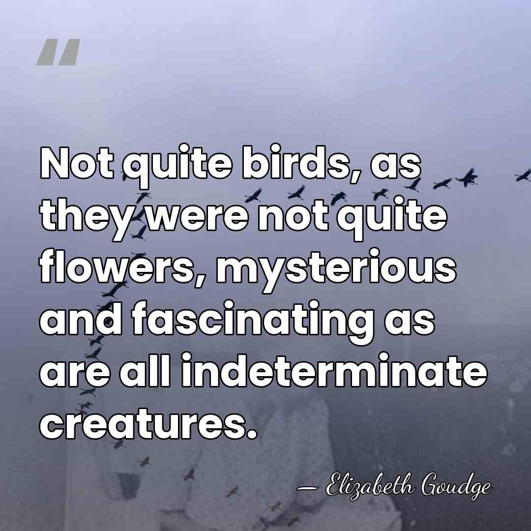 Not quite birds, as they were not quite flowers, mysterious and fascinating&hellip; - Elizabeth Goudge