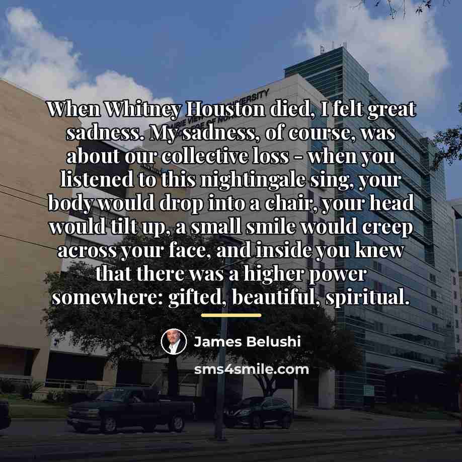 “When Whitney Houston died, I felt great sadness. My sadness,…” quote by James Belushi